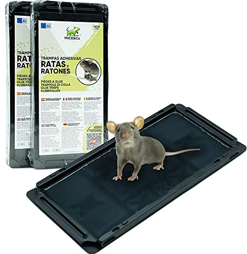 Mice&Co Pièges à Souris et Rats | 4X | Plaques Collantes Pré-Appâtées Anti Souris Efficace, Piège Collant Adhésif Puissant – Attrape Insectes et Rongeurs – Plaques de Glue Adhésives