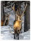YISUMEI Decke 150x200cm Flauschige Kuscheldecke Weich Flanell Fleecedecke Wald schne Elch