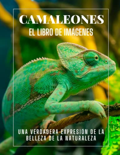 Camaleones: Una colección de fotografías de Hermosos Camaleones para Niños, Demencia, Ancianos y Alzheimer, (Libro de Imágenes).