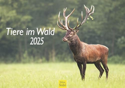 Edition Seidel Premium Kalender Tiere im Wald 2025 Format DIN A3 Wandkalender Weltweit Natur Fuchs Igel Hirsch Eichhörnchen Wildschwein Wildtier Waldtier