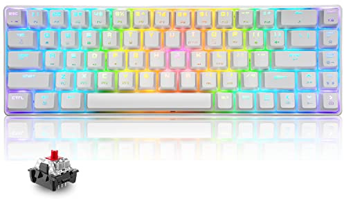 60% mechanische Mini-Tastatur, kompakt 68 Tasten, USB C, kabelgebunden, RGB-Tastatur, 18 Chroma Rainbow Hintergrundbeleuchtung, tragbar, kompatibel mit PS4, Xbox, PC, Laptop – Weiß/Red Schalter