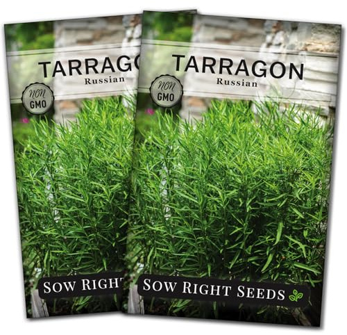 Sow Right Seeds - Russian Tarragon Seeds for Planting - Little Dragon - Non-GMO Heirloom Packet with Instructions for Planting a Beautiful Herb Garden - Rare Culinary Herbs for Home Gardening (2)