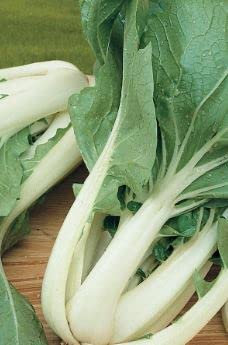 315 Seeds of Pak Choi, Fresh Vegetable Herb Fruit