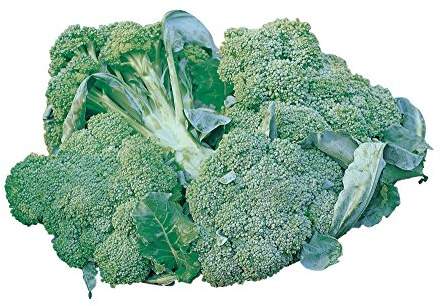 Burpee di Ciccio Organic Broccoli Seeds 350 seeds
