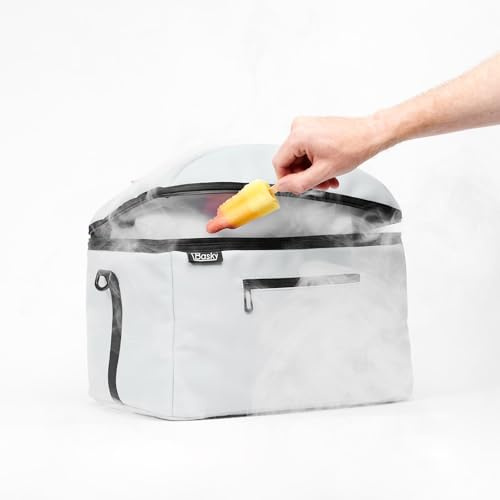 Basky Borsa termica da 42 l, borsa frigo per cesti da bicicletta (elettrica), borsa frigo multiuso isolata su misura per pic-nic, 40 x 33 x 32 cm, porta bagagli da bicicletta rimovibile | bianco