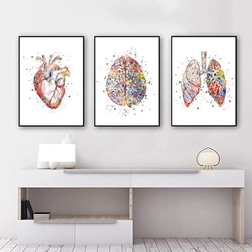 KXHHYB Set di 3 poster anatomici da parete con cuore, cervello, anatomia umana, ospedale, clinica, arte da parete, medica, senza cornice (A, 30x40cm*3)