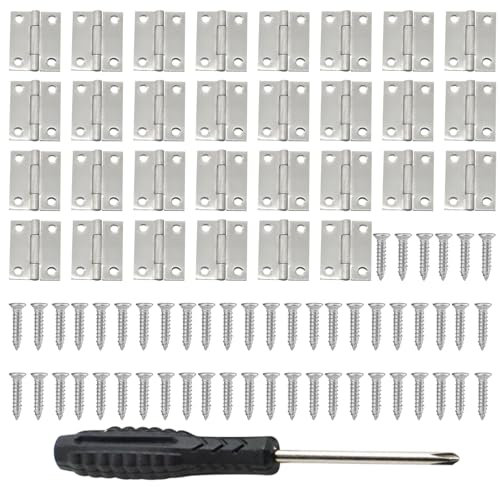 DHWEKU Charnières 30 pièces charnière boite à bijoux 25 * 24 * 0.9mm petites charnieres charniere inox pour travaux manuels,petites boîtes à bijoux,maisons de poupées avec tournevis et 120 vis à bois