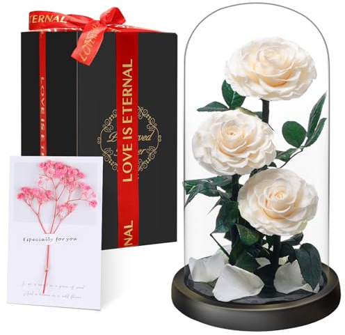 Evig ros i glas, tre vita rosor, bevarad äkta blomma i 5 år, Infinity Rose, speciell gåva för kvinnor, mamma, flickvän, för dig, alla hjärtans dag, årsdag, födelsedag, mors dag