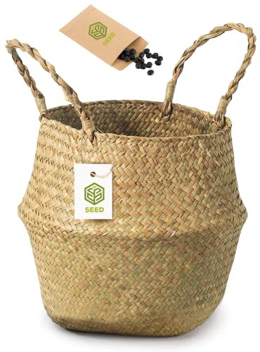 SEED Cesto Mimbre + Semillas de Regalo - Cesta Maceta Decorativa Interior - Cesta Mimbre Para Plantas, Macetero Decorativo, Cubre Macetas Decorativas Interior, Juguetes, Ropa, Fruta (Tamaño M)