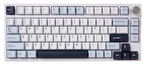 GK GAMAKAY TK75 HE Clavier mécanique effet Hall déclenchement rapide interrupteur magnétique Bluetooth/2,4 GHz/filaire RVB PBT remplaçable chaude (blanc, Mercury)
