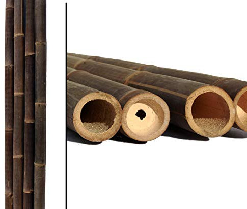 bambus-discount.com 1 tube de bambou de 200 cm noir et marron de 8 à 10 cm de diamètre – Tige de bambou XL épaisse traitée avec du sel de bore, 2 m de long