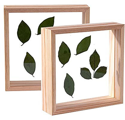 C&Z 6 x 6 2 st trä fotoramar dubbelsidig akryl herbarium växt prov ram för pressade blommor torkade blad display skrivbord bord väggdekoration trä