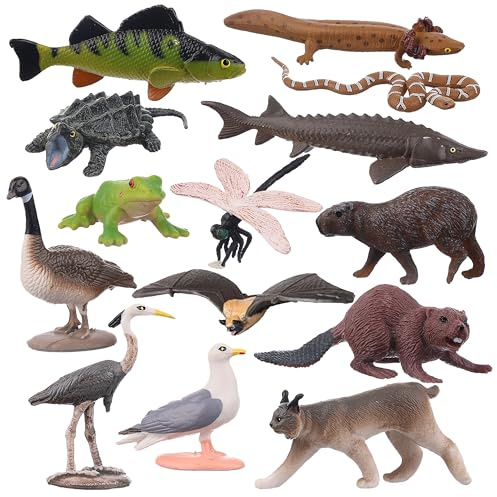 AENIMELY 14PCS Lake Animal Figurines – Realistic Canadian Wildlife Toys for Kids – North American Animal Models for STEM Learning, Cake Toppers, Science Projects, Educational Gifts