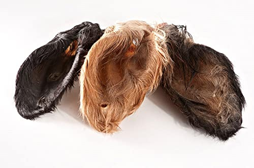 123... Hund dabei! - Oreilles de veau/bœuf avec coquillage et fourrure XXL, séchées doucement, bien tolérées, nettoyage naturel de l'estomac et des intestins (50)