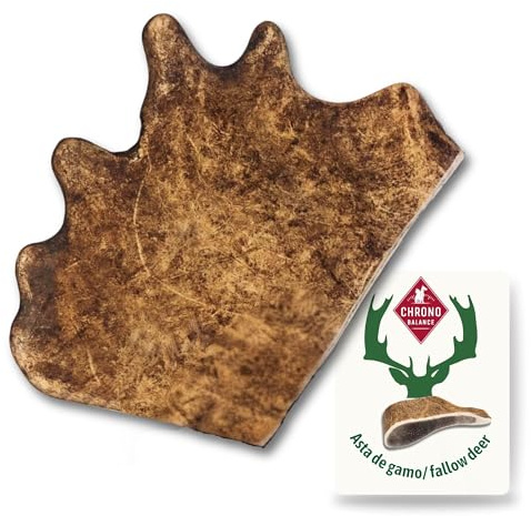 ChronoBalance, XXL Gamo asta de Ciervo para Perros, 100% Natural Snack para el Cuidado Dental, Juguete y Hueso para Perros con minerales y nutrientes, Conjunto de 1