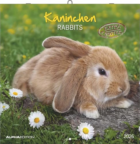 Alpha Edition - Calendario conigli 2026 – 30x30 cm – Calendario illustrato per gli amanti degli animali – Grazioso calendario da parete con adorabili motivi di conigli – Spazio per note – Incl. poster