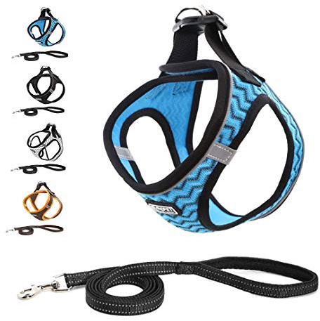 Suredoo Set med reflekterande hundsele och koppel med mjukt nät, anti-drag, ventilerande, vadderad step-in-sele, väst, koppel, komfortträning, promenader för små hundar, valpar (M, blå)