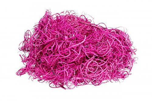 NaDeco Curly Moos Fuchsia 50g Curlymoos Tillandsia Moos Deko Moos Bastelmoos Dekomoos Bastel Moos