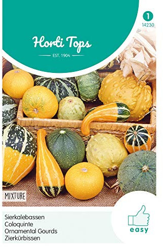 Hortitops 14230 Zierkürbis Kleinfruchtige Mischung (Zierkürbissamen)