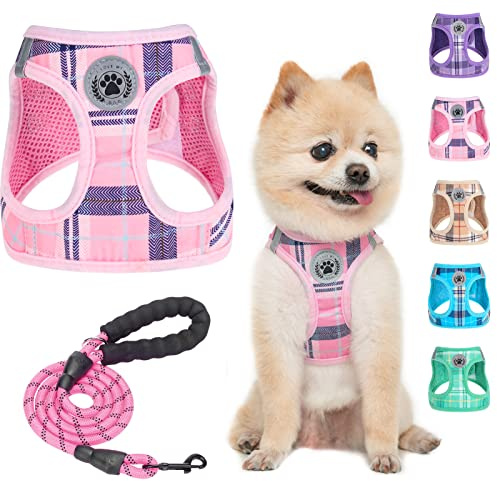 BEAUTYZOO Small Dog Harness and Leash Set,Step in No Choke No Pull Soft Mesh Dog Harnesses Reflective for Extra-Small/Small Medium Puppy Dogs and Cats, Plaid Dog Vest Harness for XS S Pets, Pink XXS