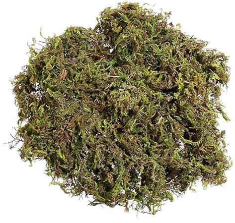 Bybyseno Artificial Moss Decorative Green Moss Fake Faux Plants for Patio Flower Plant Crafts Wall Room Decor 60g/pack (A - 60g)
