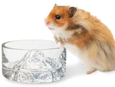 BNOSDM Hamster Food and Water Bowl Mountain Fuji Style Glass Drinking Dwarf Hamster Feeder Anti-Turning Dish for Syrian Hamsters Gerbils Mice Rats or Other Similar-Sized Pets (Colorful)