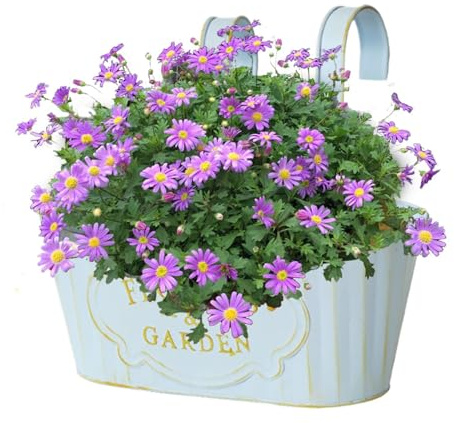Planter för räcke på Metallblomkrukor