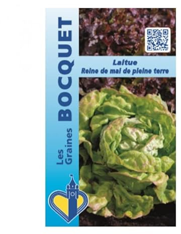 Sachet de graines de Laitue de printemps Reine de Mai de pleine terre - 4 g - légume feuille - LES GRAINES BOCQUET