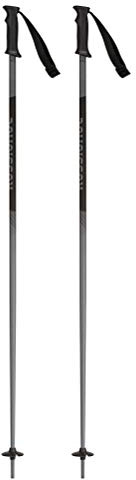 Rossignol Tactic Grey/Black Ski Poles, Men, Mens, RDI2010, Gray/Black, Age 9-10