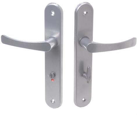 Aqbau® Set de poignées de porte avec plaque longue argentée | Poignée de porte | Poignée de porte | Poignée de porte | Ferrure de porte (portes de WC de salle de bain)