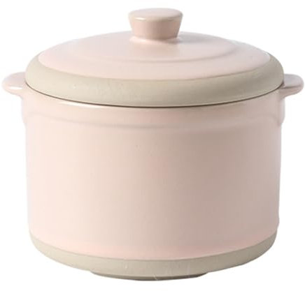 Dowbom Piccola ciotola da zuppa con coperchio e cucchiaio, 400 ml, adatta al forno a microonde, tazze da brodo (rosa)