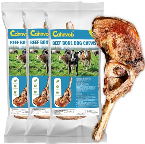 Hueso de Res Natural para Perro, Premio masticable Duradero, ingrediente único, Premio masticable digestible para Salud Dental (Paquete de 3)