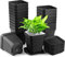 Yilyln Plante Pots 7 x 7 x 8 cm, 20 Pcs Semis en Plastique Pots de Fleurs avec Soucoupe, Pots de Plantes carrés épais en Plastique (20, 7 x 7 x 8)