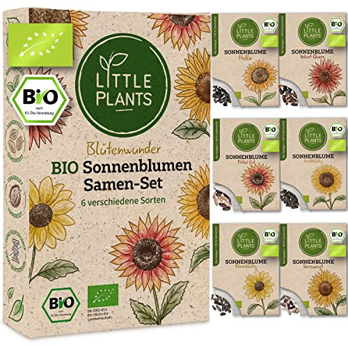 Little Plants Sonnenblumen Samen Set - 6 Sorten BIO Sonnenblume Samen - 100% natürlich & extra viele Blumensamen - BIO Saatgut Sonnenblumen zum Anbauen im Garten - Blumensamen Garten Zubehör