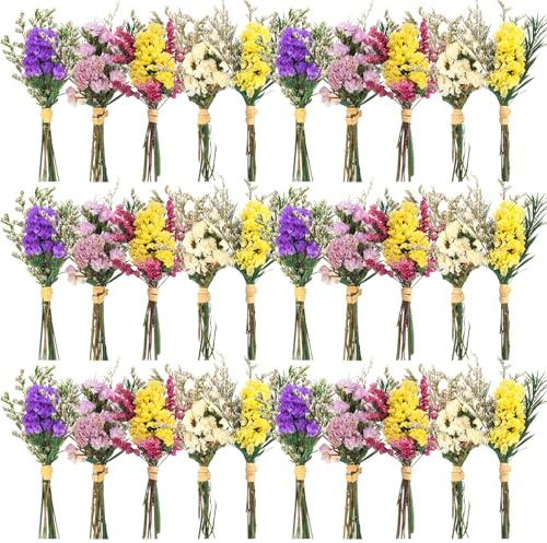 Nuanchu 30 Pcs Mini Dried Floral Flower Forget Me Not Bouquets Dried Embossing Flowers with Stem for Vase, Wedding, DIY Scrapbook Card Party Decor (Forget Me No)