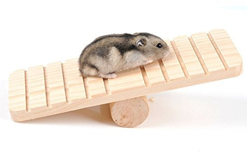 Petall Hamster Aufhängen Leiter Holz Wippe Klettern Spielzeug Käfig Verbrauchsteuer (Deutschland) Geschenk für kleine Tiere Zwerg Hamster, Maus, Ratte, Chinchilla, Gerbil, Igel, 3