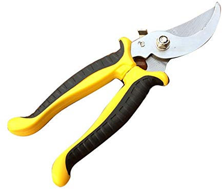 ATAAY Forbici da potatura da Giardino Forbici da Giardinaggio in Acciaio Inox Forbici per Piante Ramo Mani Potatore Cutter Bonsai Strumento per Fiori di Albero