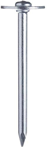 Oso® Super de S de acero clavo, cabeza de disco 3,2 x 35 sonderge härtet, galvanizado, sin astillas contenido: 250 unidades)