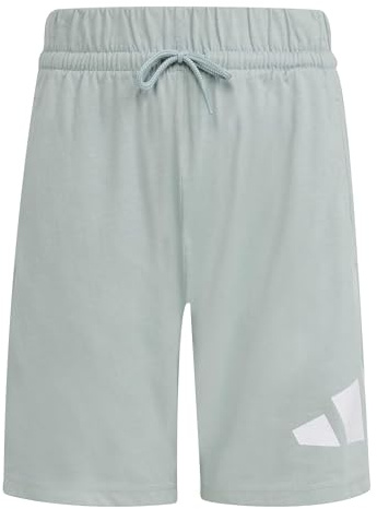 adidas Unisex - Bambini e Ragazzi Essentials Big Logo Shorts, Wonder Sage/White, 11-12 Years
