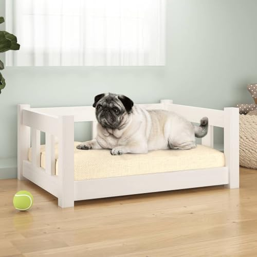 Teenpull Letto per cani bianco, 65,5 x 50,5 x 28 cm, in legno massello di pino, robusto divano per animali domestici, comodo posto letto per cani e cuccioli