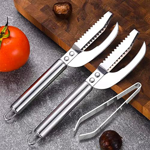 Rolin Roly 2PCS Fisch Scaler Skala Entferner Fischentschupper Fischschuppen Bürste Edelstahl Fish Scaler Remover Fischpinzette für Chef Cooking Home Restaurant Küche (Stainless Steel)
