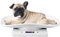 Digitale Haustierwaage, Multifunktionale Elektronische Waage Tierwaage Haustier-Waage 10 kg/1 g digitale kleine Haustier-Gewichtswaage für Katzen und Hunde, Messwerkzeug, elektronische Küchenwaage