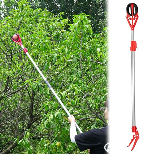 Pince télescopique à fruits 1-3m | Pince à fruits réglable en aluminium avec panier en caoutchouc souple | Outil de cueillette de fruits extensible pour la récolte d'avocat, de mangue, d'orange et