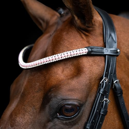Imperial Riding pannband IRH-pärlor, pannband av läder med glaspärlor och glasstrass, pennlås, ljusrosa, full