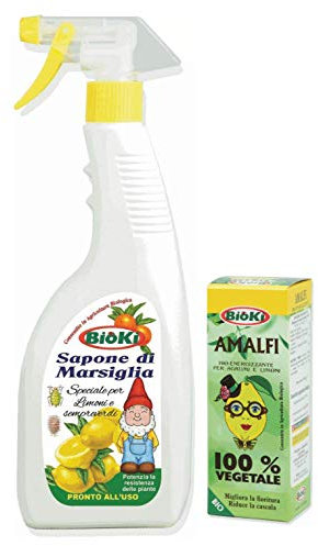 Bioki Offerta Sapone Marsiglia