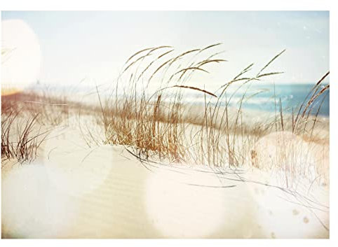 WallArena - Vlies Fototapete Strand und Meer Landschaft Dünen Ostsee 416x254 cm - Fototapeten - Tapeten - für Wohnzimmer Schlafzimmer - Vliestapete Wandtapete Tapete 3D Effekt- inkl. Kleister