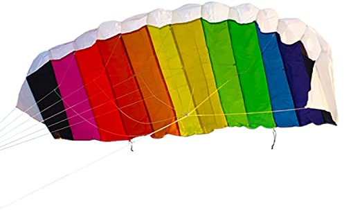 Drache Einleiner Zweileiner Lenkmatte für Kinder ab 3 Jahre bunt Tiere Fiberglas Lenkdrache Flugdrache (Lenkmatte Regenbogen)