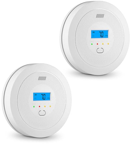 Kohlenmonoxid Melder Alarm, Batteriebetriebener CO-Alarm mit LEDs, Test-Reset-Taste, Anzeige für Niedrigen Batteriestand, Tragbar (2er Stück)