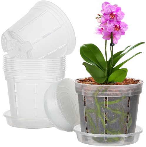 IWTTWY 10 PCS Clear Orchid Pots, 15CM Plastic Plant Pots with Drainage Hole and Tray, Root-Control Nursery Planters, Seed Seedling Pots for Root Growing for Orchid, Peace Lily, Snake Plant (Clear)