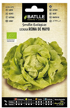 Semillas Batlle Lechuga reina de mayo - ECO
